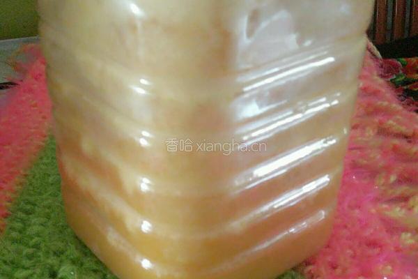 蜂蜜木瓜的做法图解3