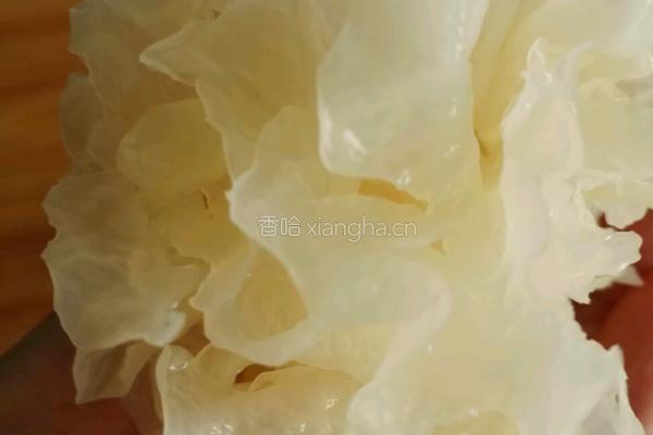 冰糖雪梨银耳汤的做法图解3