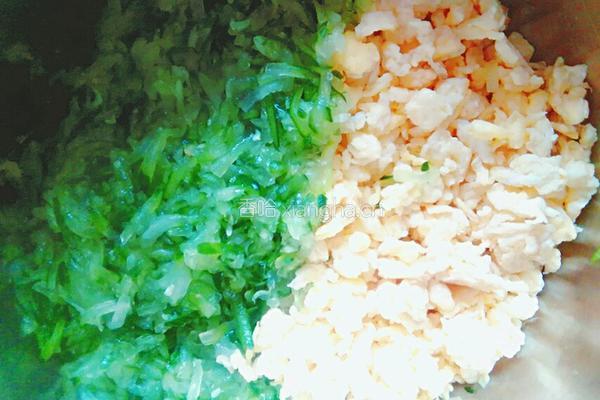 黄瓜鸡蛋水饺的做法图解10
