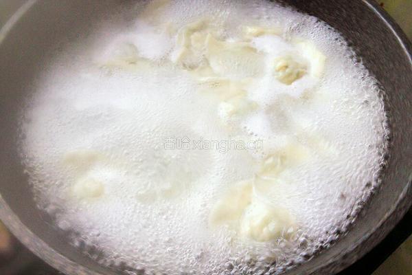 黄瓜鸡蛋水饺的做法图解21