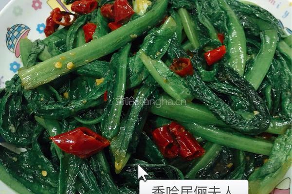 蒜泥油麦菜