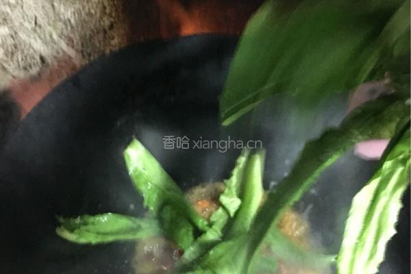 蒜泥油麦菜的做法图解5