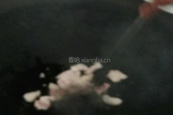 炒河粉的做法图解4