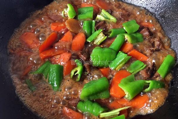 红烧牛肉的做法图解10