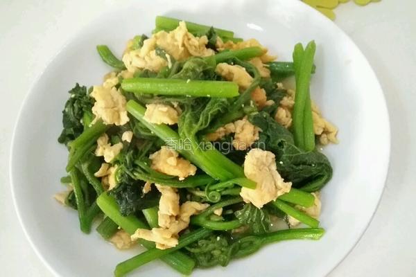 瓜尖炒蛋的做法图解4