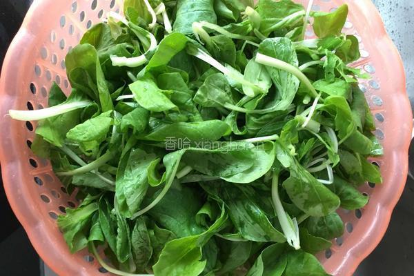 蒜泥炒小青菜的做法图解1