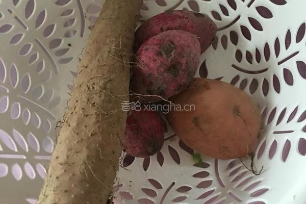 紫薯山药糕的做法图解1