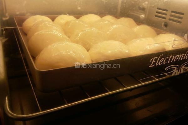 最松软没有之一的酸奶小餐包的做法图解8