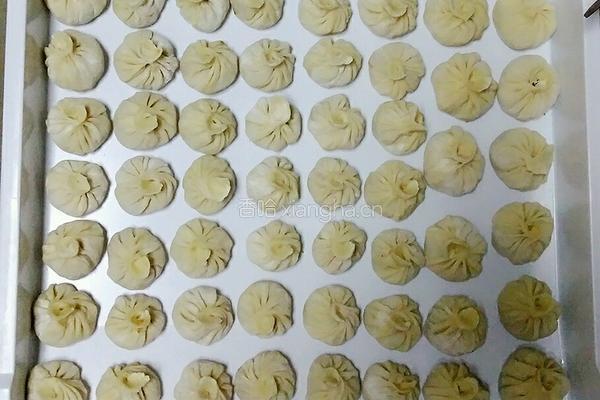 美味无敌鸡汁灌汤包的做法图解6