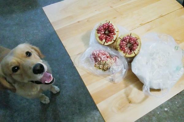 粉色思念玫瑰饺的做法图解1