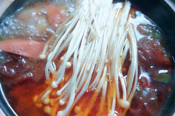 砂锅炖猪肉粉条的做法图解14