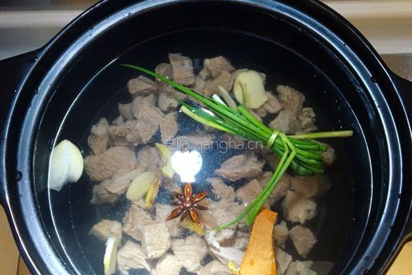清炖牛肉汤的做法图解6