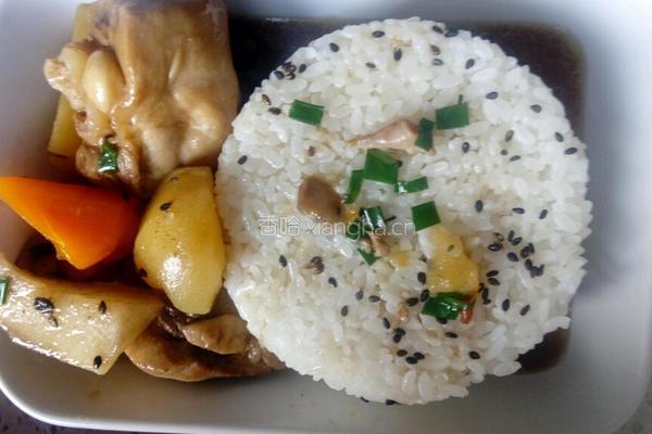 黄焖鸡米饭的做法图解10