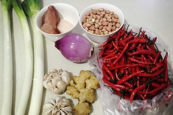 独家秘制猪肉辣椒酱的做法图解1