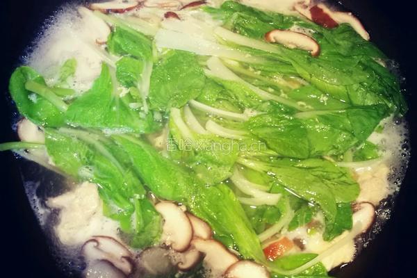 香菇白菜肉汤的做法图解6