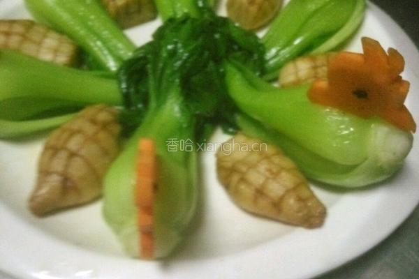 素鲍菜心的做法图解13