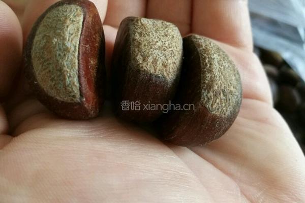 自制糖炒板栗的做法图解1
