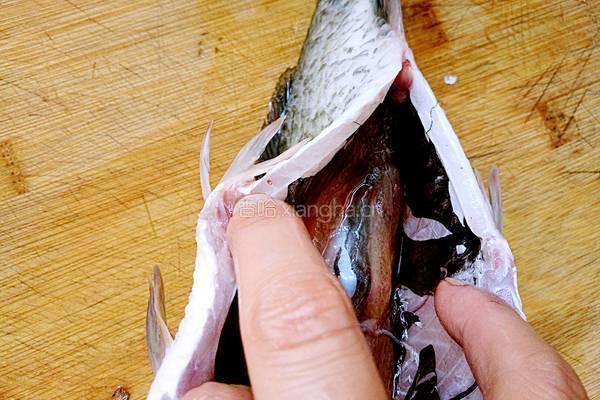 鲫鱼豆腐汤的做法图解2