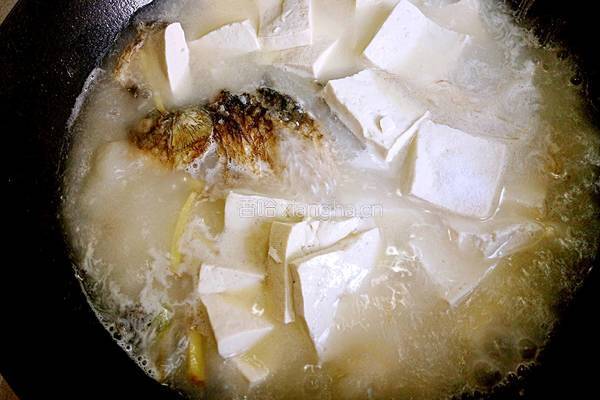 鲫鱼豆腐汤的做法图解21