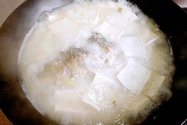 鲫鱼豆腐汤的做法图解23