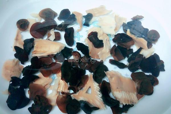 黄金宝石袋（鱼肉馅豆皮包)的做法图解2