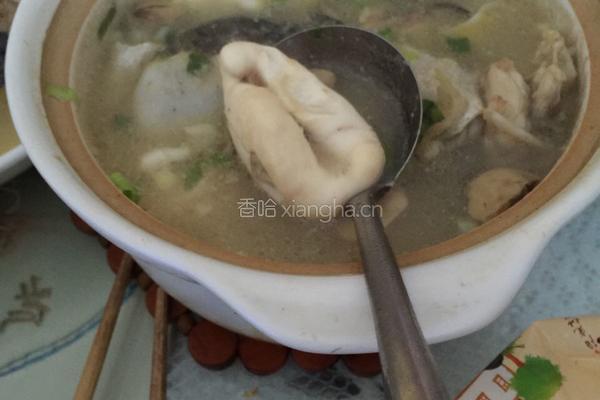 白汤河豚的做法图解4