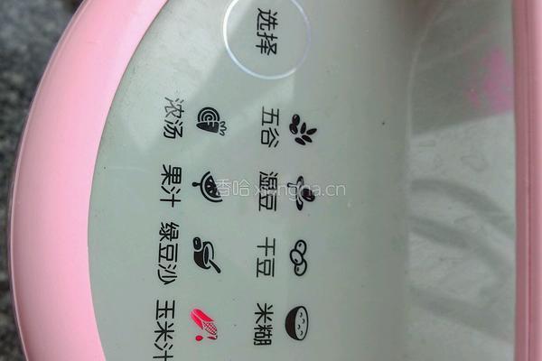 红枣玉米糊的做法图解3