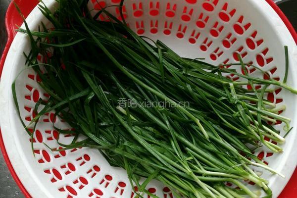 芸豆水饺的做法图解6