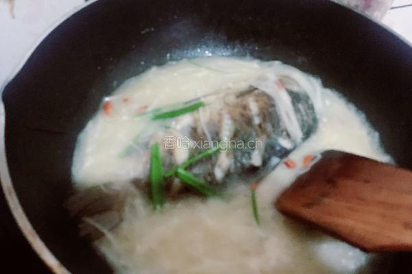 鲫鱼萝卜丝汤的做法图解7