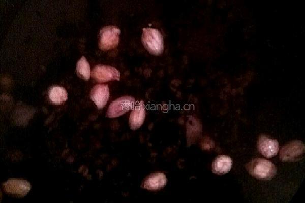 黑发美颜健身粥的做法图解2