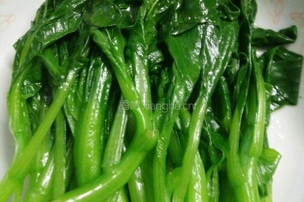 白焯菜心的做法图解4