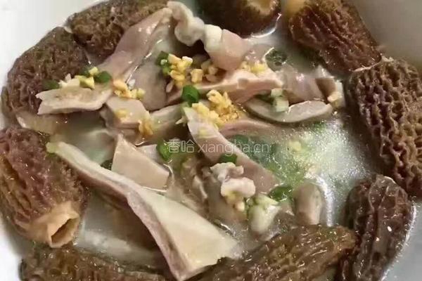 羊肚菌猪肚汤的做法图解1