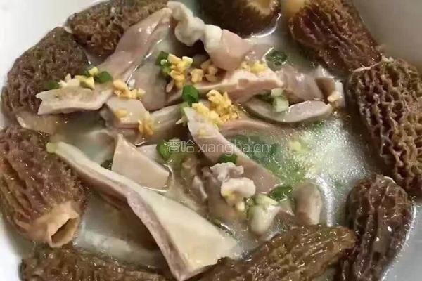 羊肚菌猪肚汤的做法图解3