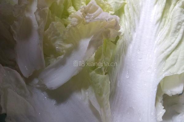 蚝油白菜的做法图解2