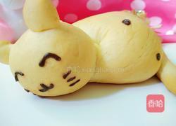 小猫咪面包的做法图解10