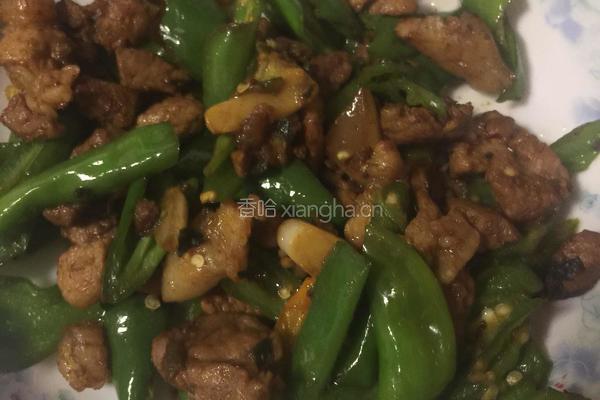 辣椒炒肉的做法图解6
