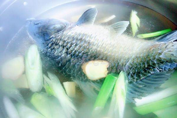 西湖醋鱼的做法图解5