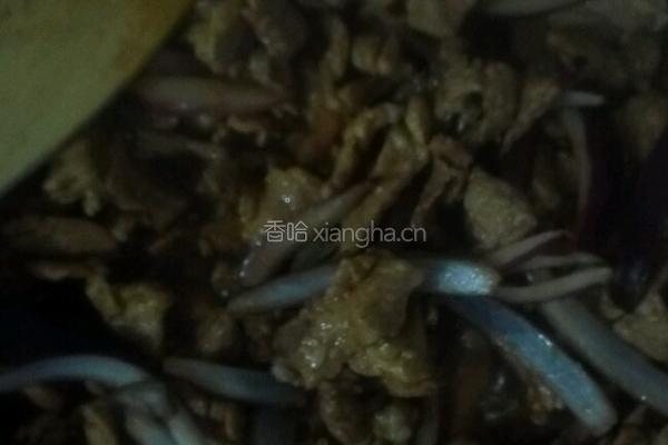 孜然肉片的做法图解6