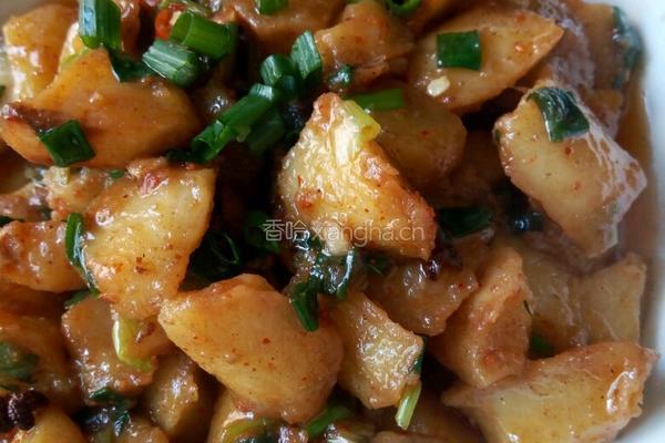 红烧土豆的做法图解16