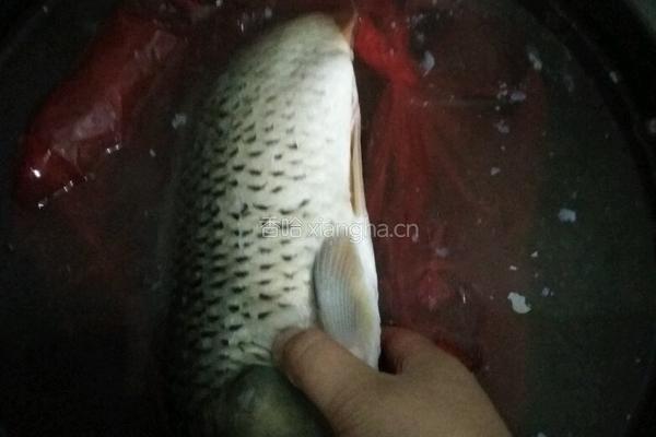 鲤鱼炖腰果的做法图解1