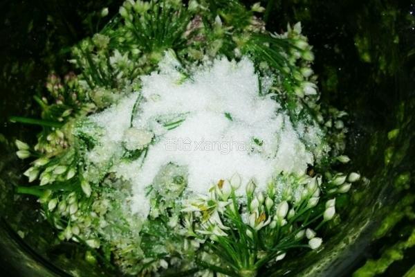 自酿韭菜花酱的做法图解3