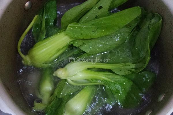 青菜排骨汤的做法图解4