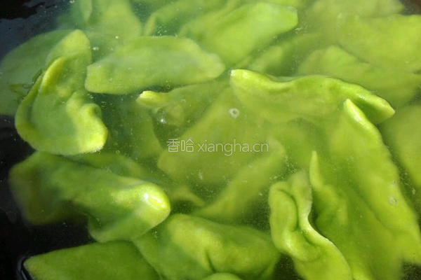 羊肉馅饺子的做法图解14
