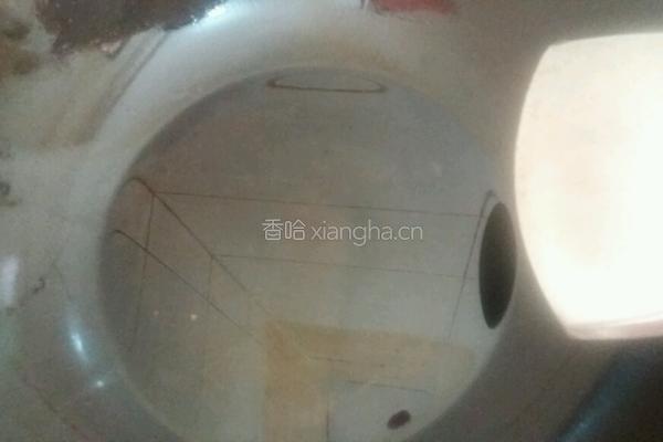素炒长白菜的做法图解4