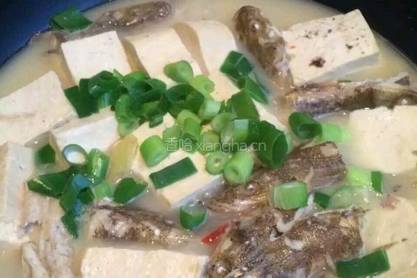 鱼炖豆腐的做法图解6