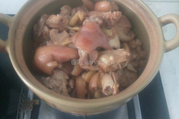 花生炖猪蹄的做法图解7