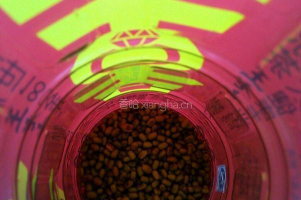 绿豆芽的做法图解2
