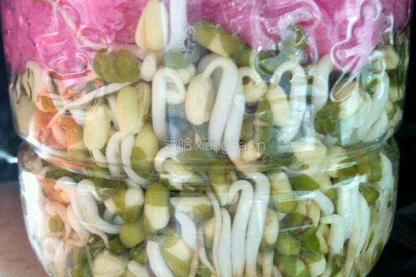 绿豆芽的做法图解6