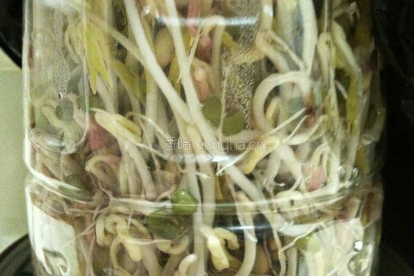 绿豆芽的做法图解7
