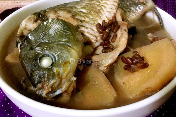 赤小豆粉葛鲫鱼汤